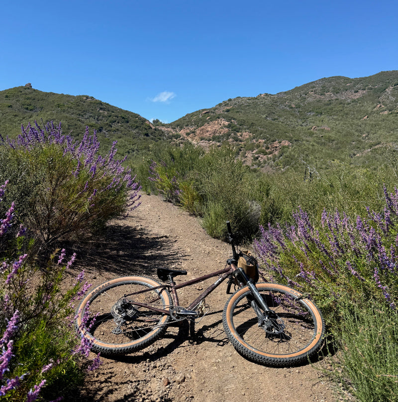 Mountain Biking along the Backbone Trail