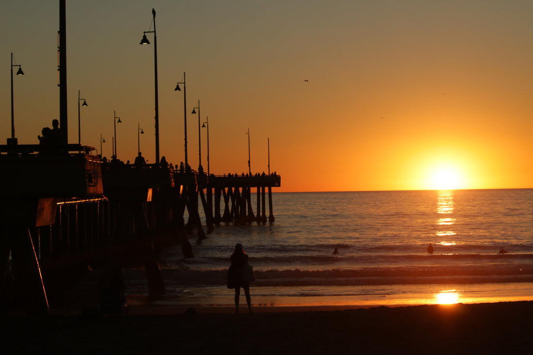 Leave your bike at West LA Bicycle and surf the Venice Pier