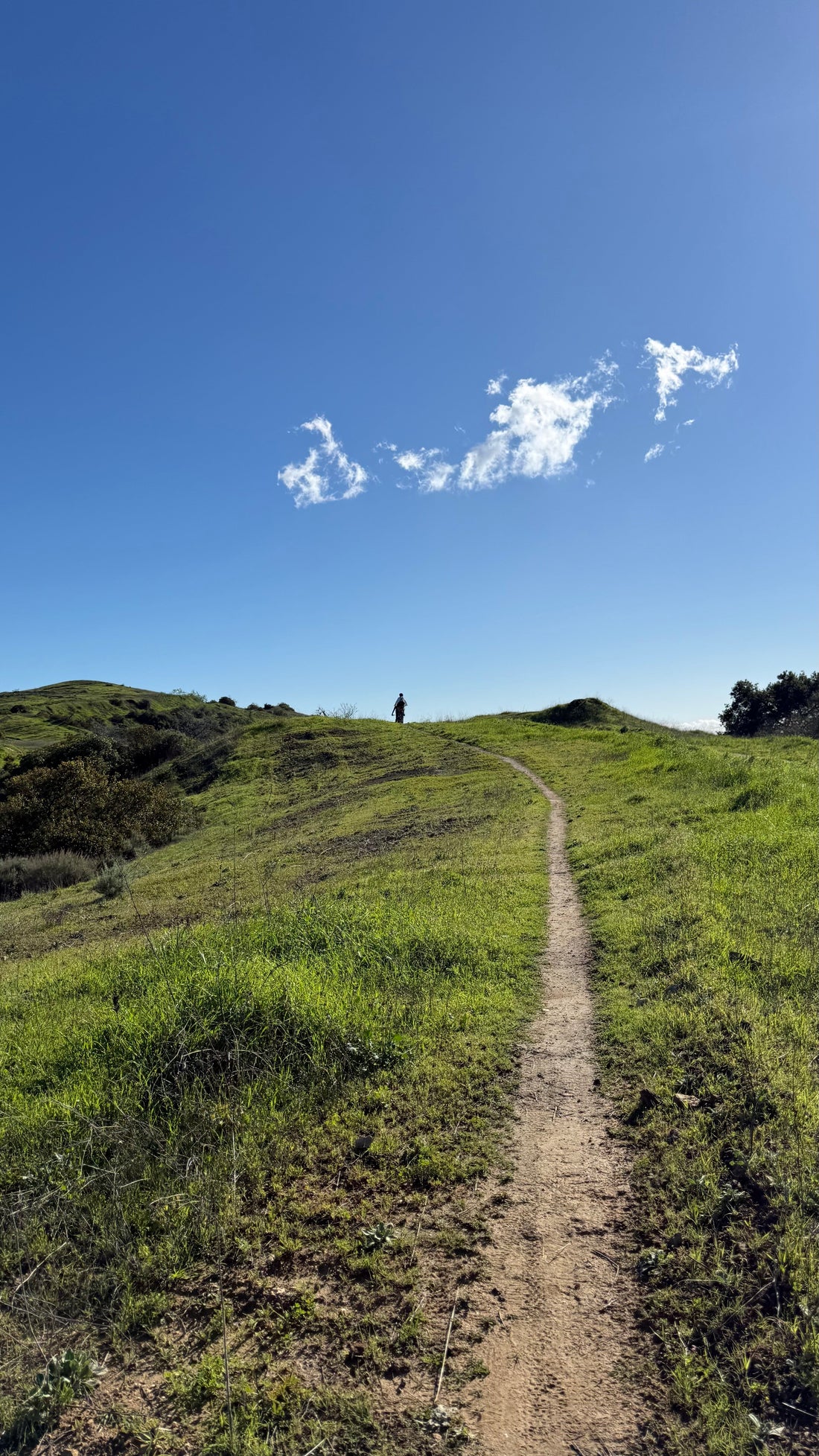 Mountain Biking in Santa Monica with West LA Bicycle