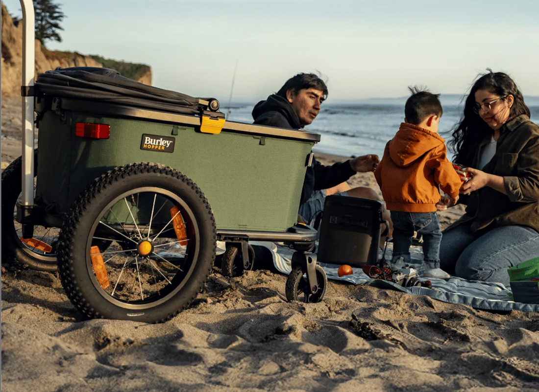 Family Biking in Venice Beach: How to Make Your Bike Work for the Whole Family