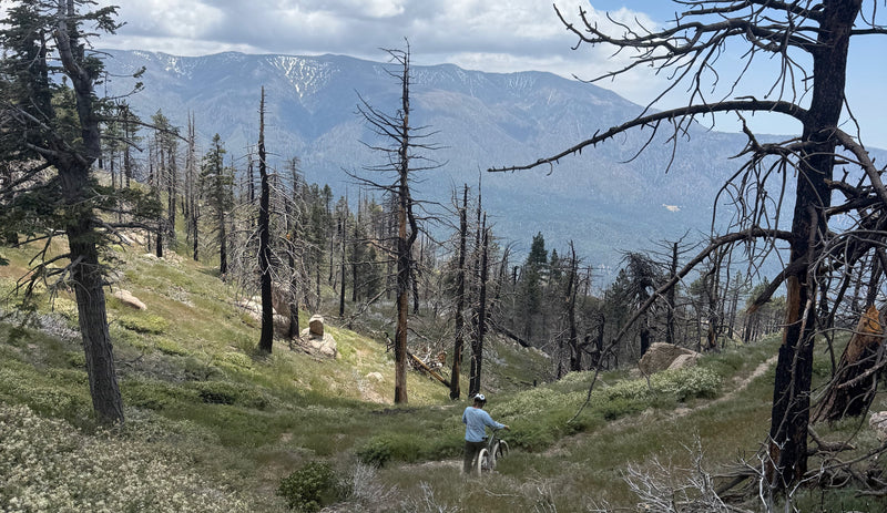 Mountain Biking in Big Bear