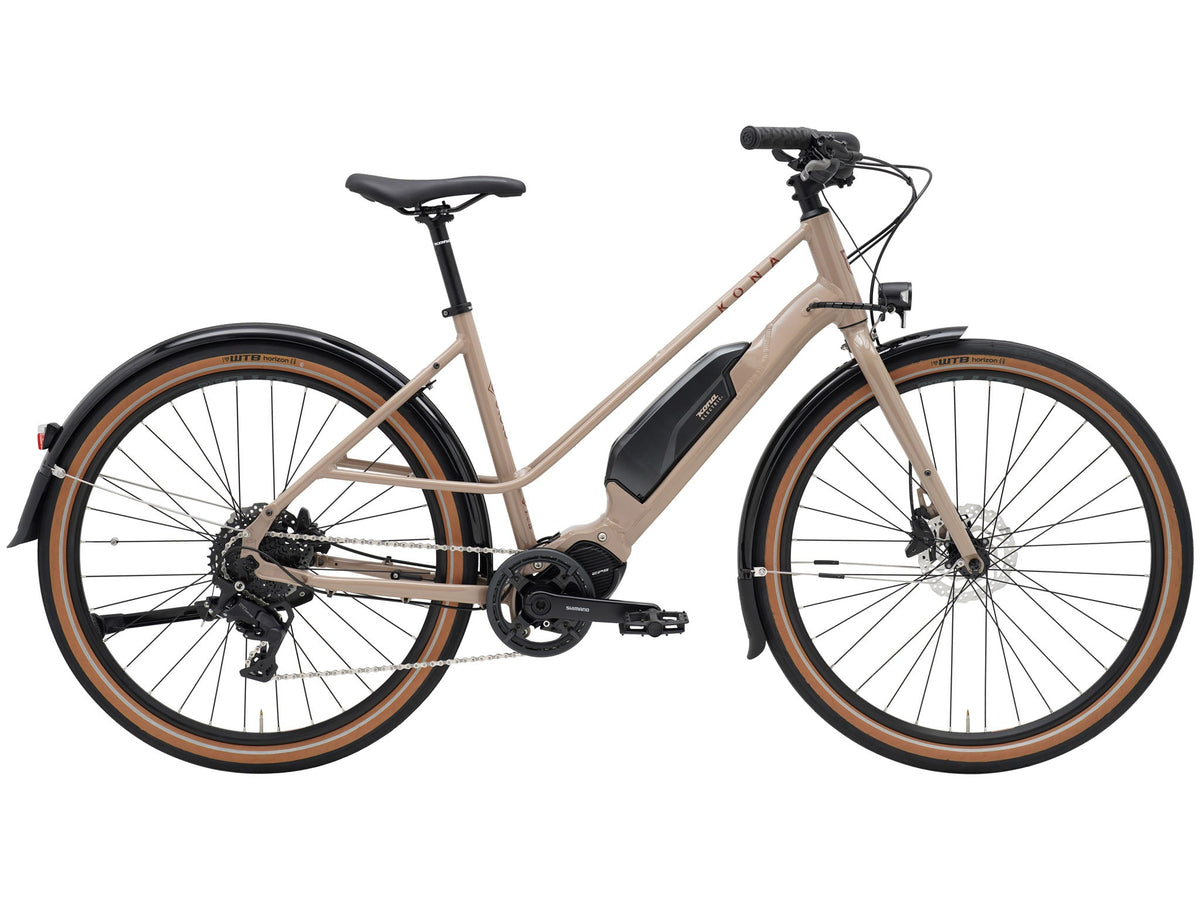 Kona Ecoco bicycle