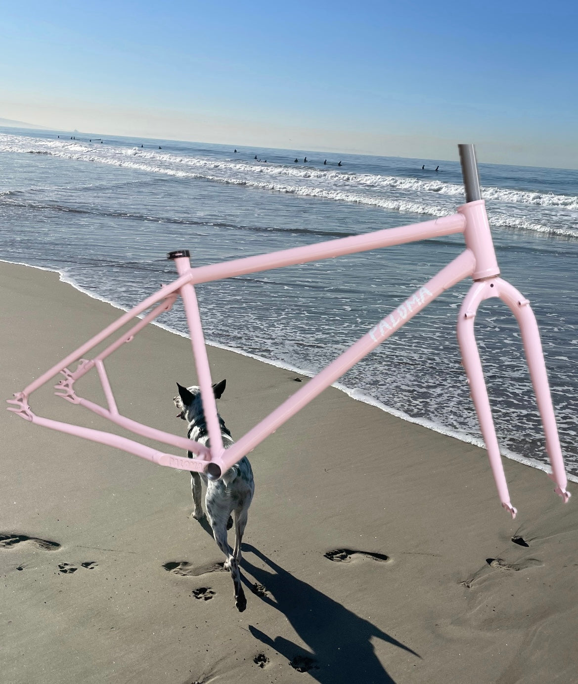 Paloma Thursday Invitational Frameset - Ultramedium - Pink