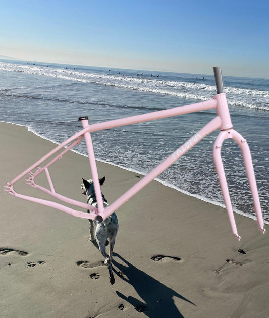 Paloma Thursday Invitational Frameset - Ultramedium - Pink