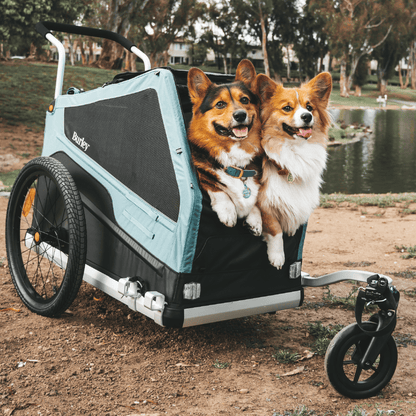 Bark Ranger®