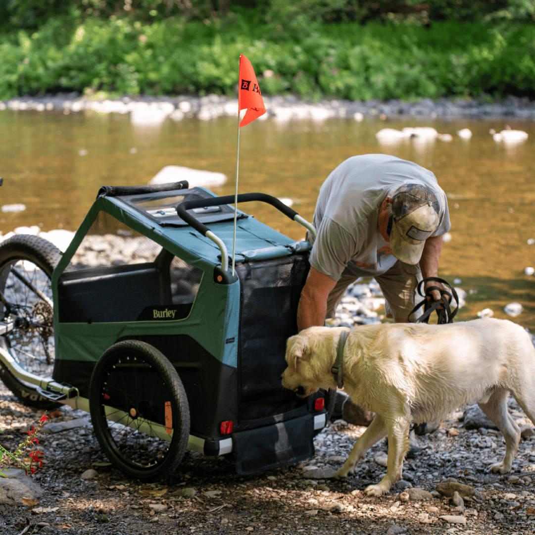 Bark Ranger®