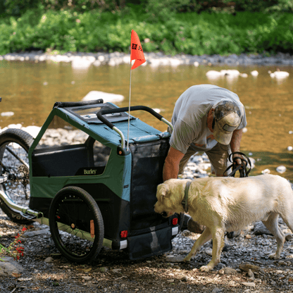 Bark Ranger®