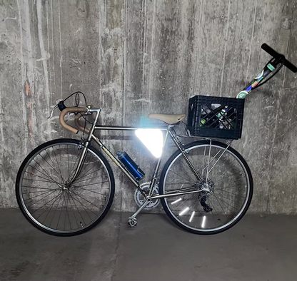 Reflective Frame Bag